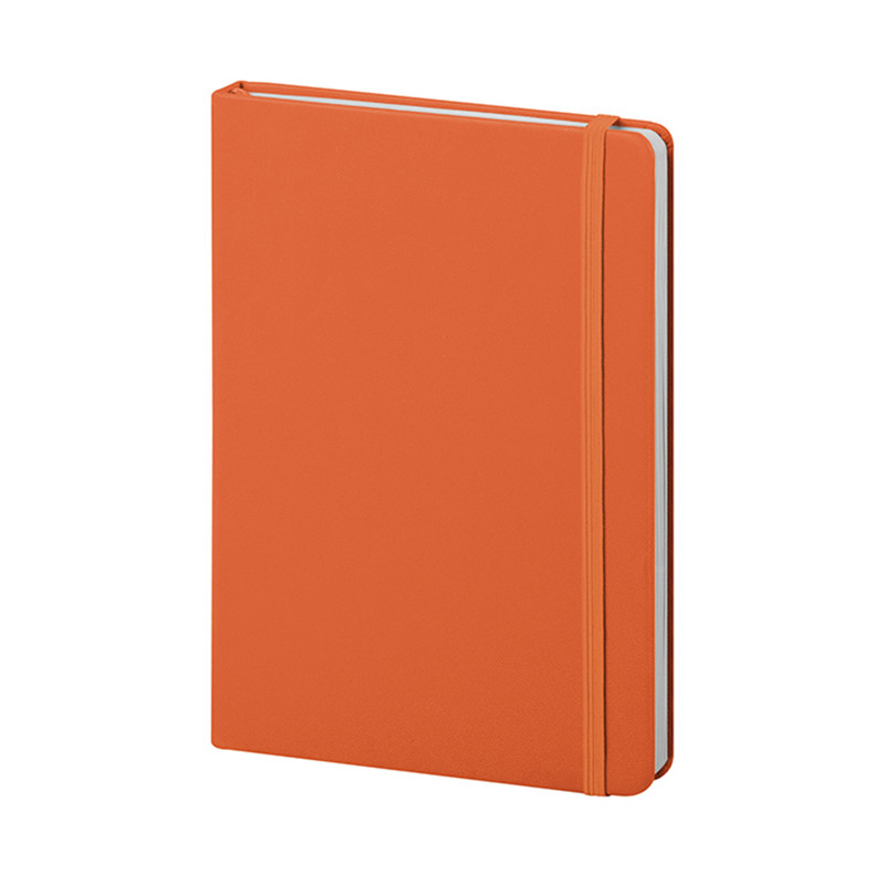 Pu notes pb620