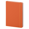Pu notes pb620