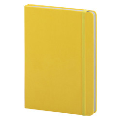 Pu notes pb620