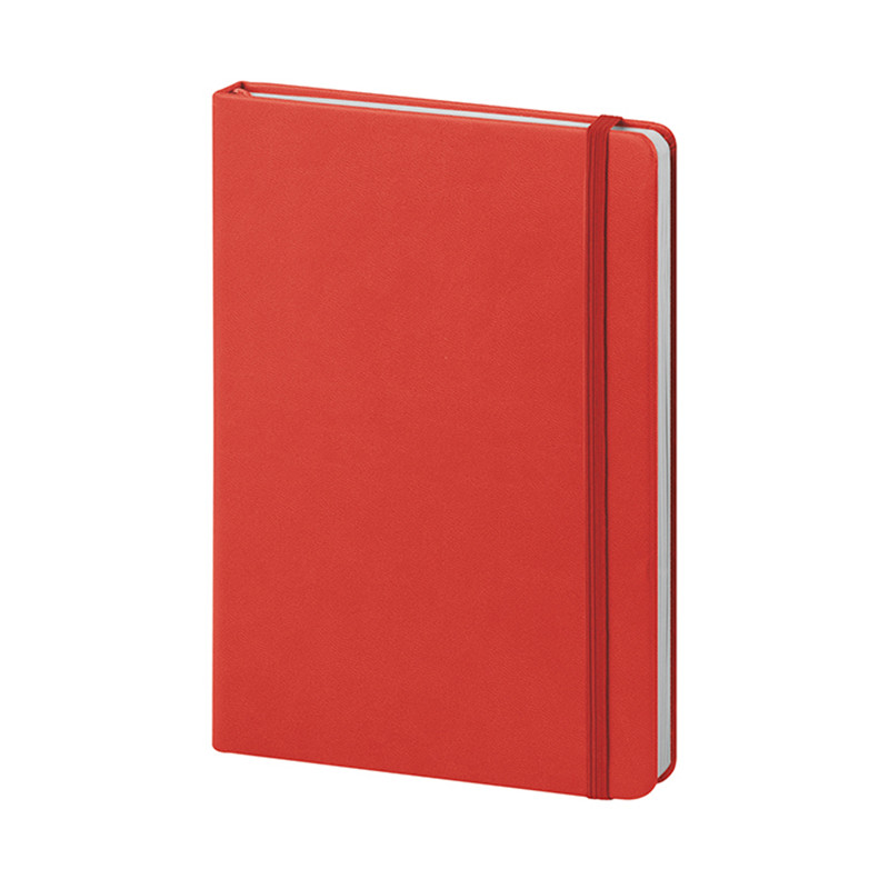 Pu notes pb620