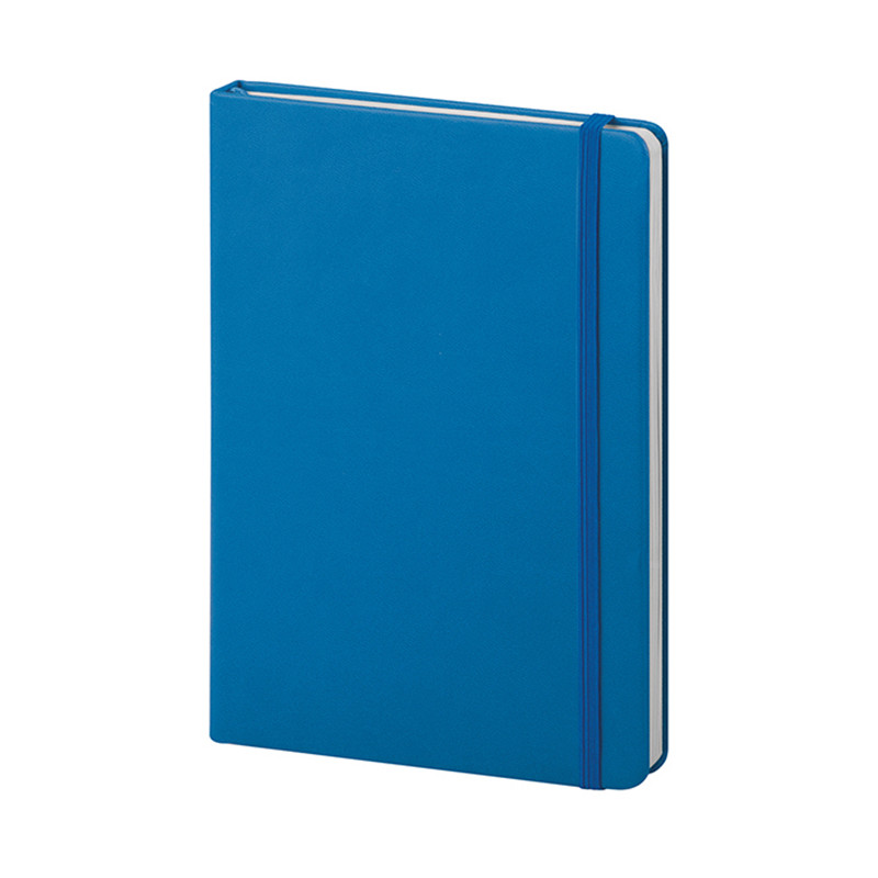 Pu notes pb620