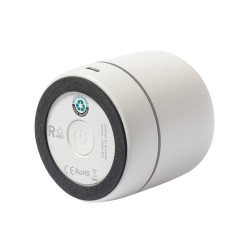 Rabs speaker pf182