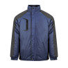 South pole pm695