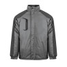 South pole pm695