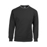 Yellowstone pm447